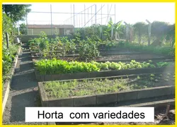 Fazenda / Sítio / Chácara com 6 Quartos à venda, 163200m² no Zona Rural, Conchal - Foto 16