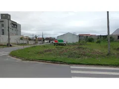 Terreno / Lote / Condomínio à venda no Figueira, Gaspar - Foto 3