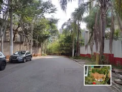 Terreno / Lote / Condomínio à venda, 1138m² no Panamby, São Paulo - Foto 4