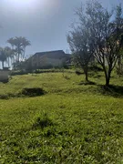 Fazenda / Sítio / Chácara com 3 Quartos à venda, 2000m² no , Santa Isabel - Foto 5