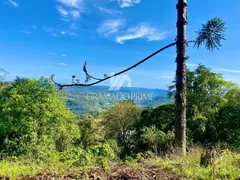 Fazenda / Sítio / Chácara à venda, 50000m² no , Gramado - Foto 5