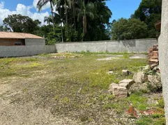 Terreno / Lote / Condomínio à venda, 400m² no Rio Bonito, Joinville - Foto 1
