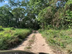 Fazenda / Sítio / Chácara à venda, 1m² no , Palmeiras de Goiás - Foto 3