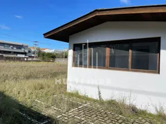 Terreno / Lote / Condomínio para alugar, 170m² no Navegantes, Porto Alegre - Foto 3