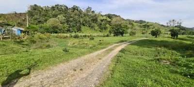 Fazenda / Sítio / Chácara com 3 Quartos à venda, 30000m² no Centro, Leoberto Leal - Foto 17