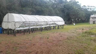 Fazenda / Sítio / Chácara com 3 Quartos à venda, 5500m² no Campina do Taquaral, São José dos Pinhais - Foto 12