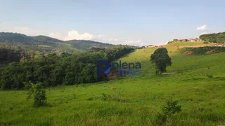 Terreno / Lote / Condomínio à venda, 6000000m² no Zona Rural, Bueno Brandão - Foto 4