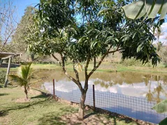 Fazenda / Sítio / Chácara com 3 Quartos à venda, 15000m² no Pinheirinho, Itu - Foto 56