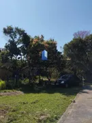 Fazenda / Sítio / Chácara com 4 Quartos à venda, 3580m² no Pedro Leme, Roseira - Foto 5