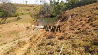 Fazenda / Sítio / Chácara à venda, 726000m² no , Anicuns - Foto 25