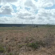 Fazenda / Sítio / Chácara com 5 Quartos à venda, 497000m² no Centro, João Câmara - Foto 4