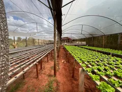 Fazenda / Sítio / Chácara com 2 Quartos à venda, 100m² no , Mandaguaçu - Foto 14