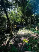 Terreno / Lote / Condomínio à venda, 1500m² no Cachoeira do Bom Jesus, Florianópolis - Foto 19