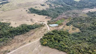 Fazenda / Sítio / Chácara à venda, 1694000m² no Vila Rezende, Piracicaba - Foto 7