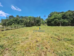 Fazenda / Sítio / Chácara à venda, 3108m² no Centro, Bocaiúva do Sul - Foto 13