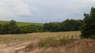 Fazenda / Sítio / Chácara com 3 Quartos à venda, 1000m² no Saltinho, Elias Fausto - Foto 6