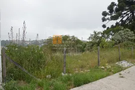 Terreno / Lote / Condomínio à venda, 360m² no Planalto, Caxias do Sul - Foto 6