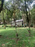 Fazenda / Sítio / Chácara com 3 Quartos à venda, 6480m² no Loteamento Chacara Chantecler, Piraquara - Foto 5