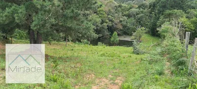 Fazenda / Sítio / Chácara com 4 Quartos à venda, 400m² no Zona Rural, Mandirituba - Foto 3