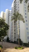 Apartamento com 2 Quartos à venda, 50m² no Butantã, São Paulo - Foto 3