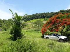 Fazenda / Sítio / Chácara com 4 Quartos à venda, 872400m² no Zona Rural, Juquiá - Foto 2