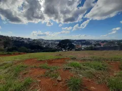 Terreno / Lote / Condomínio à venda, 268m² no São Pedro, Juiz de Fora - Foto 14