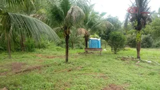 Terreno / Lote Comercial para alugar, 30000m² no Vila Maranhão, São Luís - Foto 13