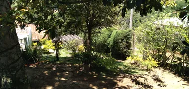Fazenda / Sítio / Chácara com 3 Quartos à venda, 250m² no Guaraiuva, Vargem - Foto 36