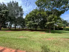 Fazenda / Sítio / Chácara com 4 Quartos à venda, 600m² no Zona Rural, Santo Antônio de Goiás - Foto 34