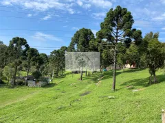 Fazenda / Sítio / Chácara com 1 Quarto à venda, 5000m² no , Campo Alegre - Foto 2