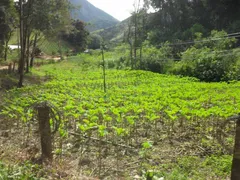 Fazenda / Sítio / Chácara com 4 Quartos à venda, 290m² no Sebastiana, Teresópolis - Foto 13