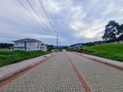 Terreno / Lote / Condomínio à venda no Santa Catarina, Caxias do Sul - Foto 3