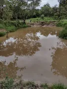 Terreno / Lote / Condomínio à venda, 20000m² no Centro, Cachoeira da Prata - Foto 1