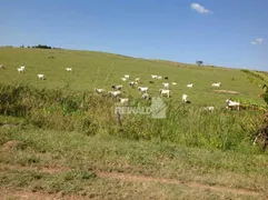 Fazenda / Sítio / Chácara com 3 Quartos à venda, 250m² no Bairro da Ponte, Itatiba - Foto 6