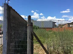 Terreno / Lote / Condomínio à venda, 300m² no Santos Dumont, São Leopoldo - Foto 4