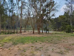 Fazenda / Sítio / Chácara com 5 Quartos à venda, 130000m² no Santa Lúcia do Piaí, Caxias do Sul - Foto 10