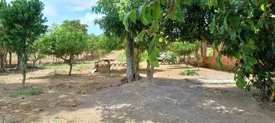 Fazenda / Sítio / Chácara com 4 Quartos à venda, 30000m² no Area Rural do Paranoa, Brasília - Foto 15