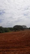 Fazenda / Sítio / Chácara com 2 Quartos à venda, 20000m² no Setor Central , Bela Vista de Goiás - Foto 3