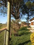 Fazenda / Sítio / Chácara com 3 Quartos à venda, 200m² no Centro, Viamão - Foto 25