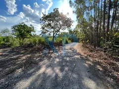 Fazenda / Sítio / Chácara com 2 Quartos à venda, 1500m² no Zona Rural, Carmo do Cajuru - Foto 60