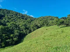 Fazenda / Sítio / Chácara com 3 Quartos à venda, 484000m² no São Francisco Xavier, São José dos Campos - Foto 35