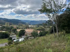 Terreno / Lote / Condomínio à venda, 13000m² no Vale dos Vinhedos, Bento Gonçalves - Foto 41