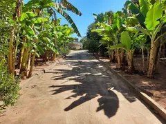 Fazenda / Sítio / Chácara com 4 Quartos à venda, 1000m² no Vila Maria, Presidente Prudente - Foto 30