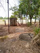 Fazenda / Sítio / Chácara com 4 Quartos à venda, 75000m² no Zona Rural, Bonfinópolis - Foto 5