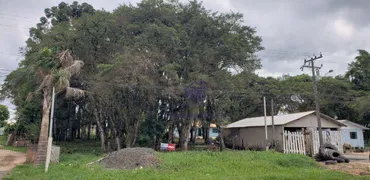 Terreno / Lote / Condomínio à venda, 3933m² no Zona Rural, Tijucas do Sul - Foto 12