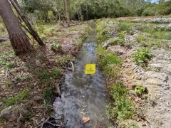 Terreno / Lote / Condomínio à venda, 6000m² no Torreoes, Juiz de Fora - Foto 6