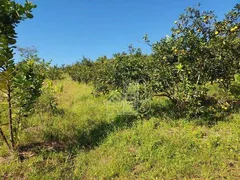 Fazenda / Sítio / Chácara com 4 Quartos à venda, 480m² no Boa Esperança, Rio Bonito - Foto 10