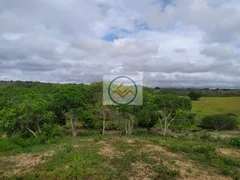 Fazenda / Sítio / Chácara com 3 Quartos à venda, 21200m² no , Itaporanga d'Ajuda - Foto 7