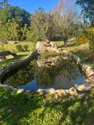 Fazenda / Sítio / Chácara com 6 Quartos à venda, 15397m² no Mury, Nova Friburgo - Foto 6