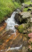 Fazenda / Sítio / Chácara com 3 Quartos à venda, 200000m² no Mury, Nova Friburgo - Foto 8